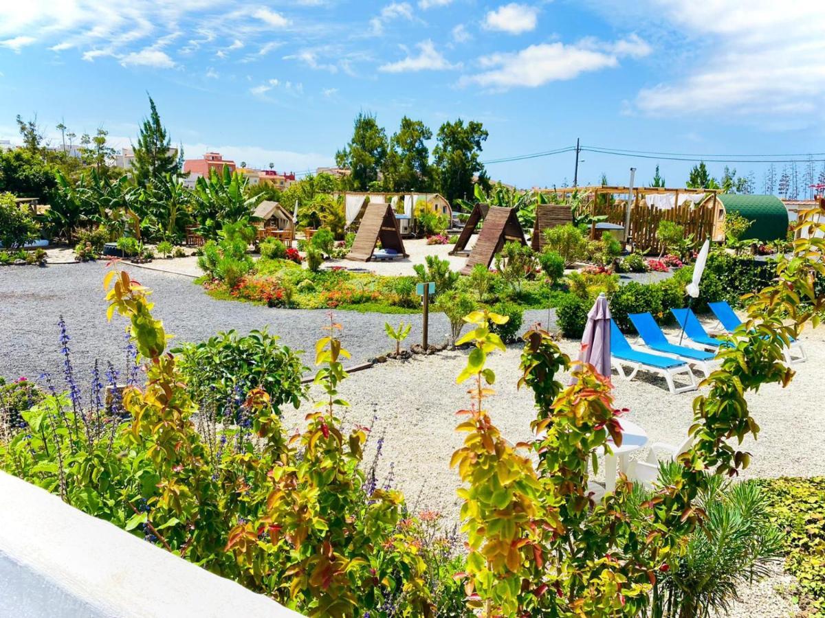 Bernegal Moneyba Hot Tub Climatizado Piscina Y Jardin
